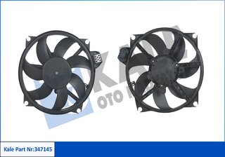 Kale 347145