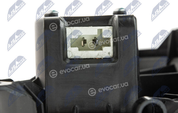NTY EWN-PL-001