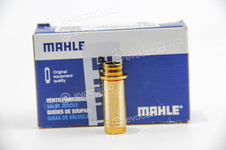 Mahle 029 FX 31168 000