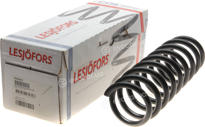 Lesjofors 4208442