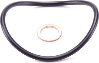 Mahle OX 813/2D