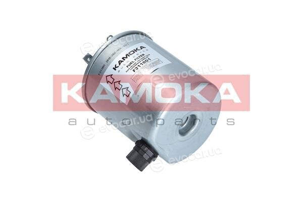 Kamoka F311801