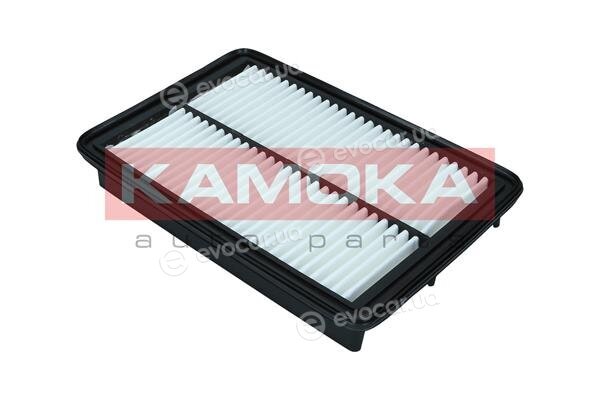 Kamoka F246301