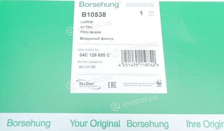 Borsehung B10538