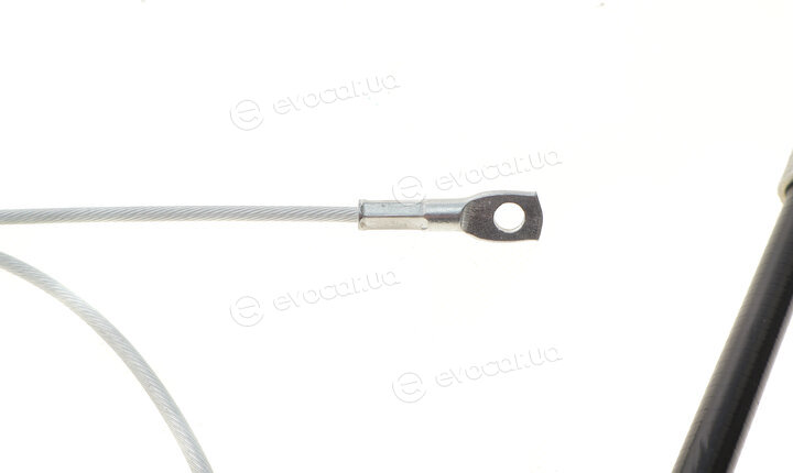 Rotweiss RW42120