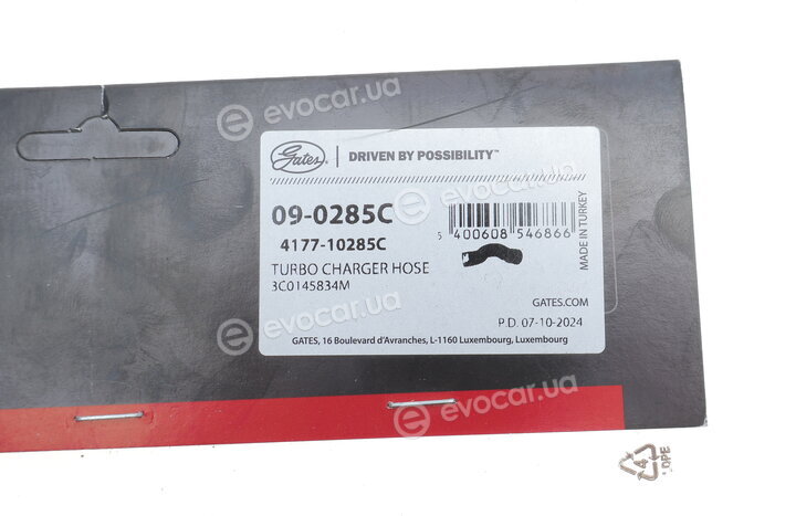 Gates 09-0285C
