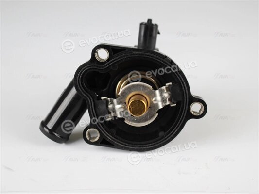 AVA OLTS010