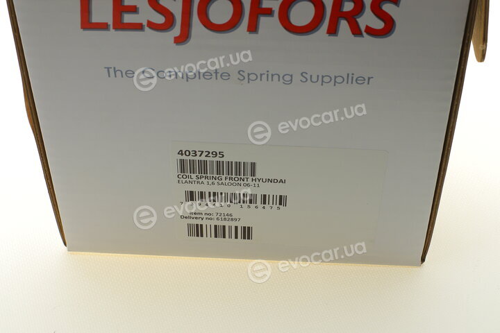 Lesjofors 4037295