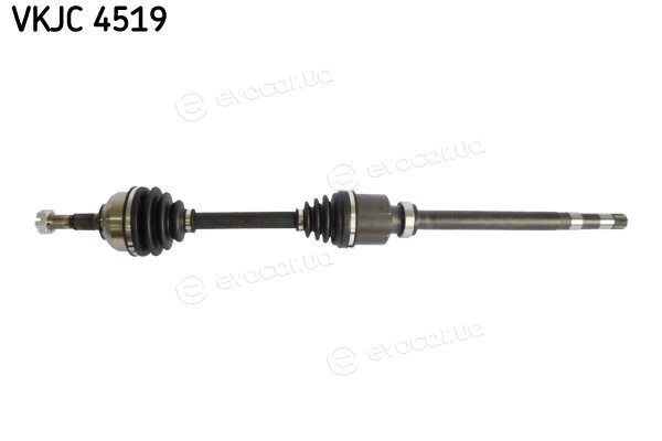 SKF VKJC 4519