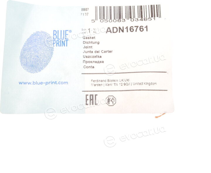 Blue Print ADN16761