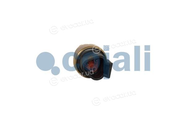 Cojali 2263025