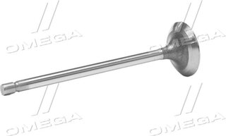Gunes 6260