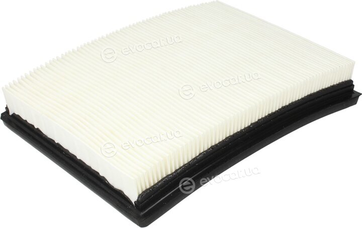JC B21081PR
