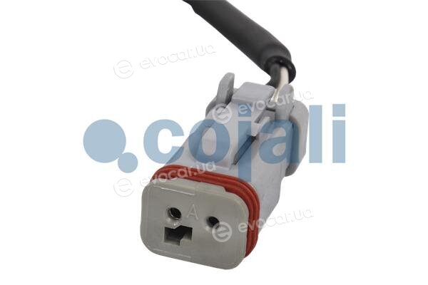 Cojali 2260048