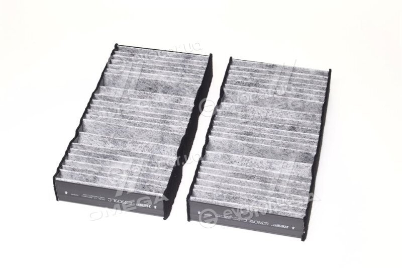 Hengst E3909LC-2