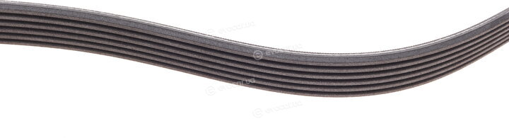 Continental 6PK1120