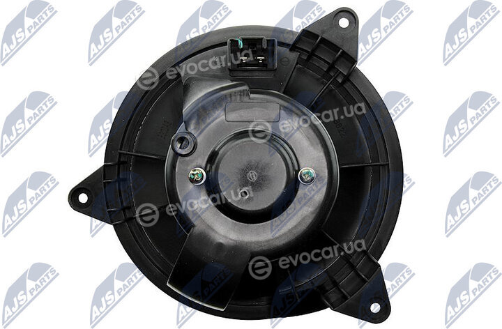 NTY EWN-FR-000