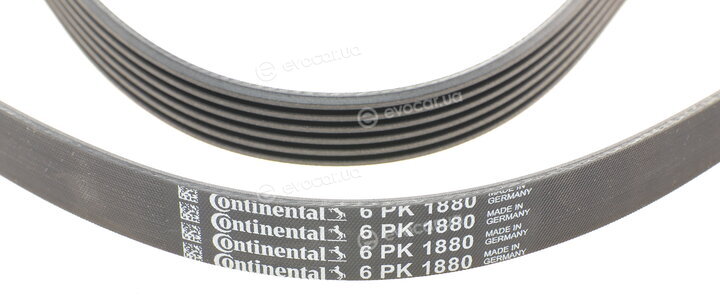 Continental 6PK1880