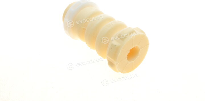 Borsehung B10022