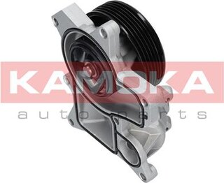 Kamoka T0048