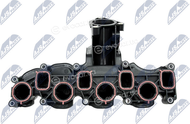NTY BKS-VW-004
