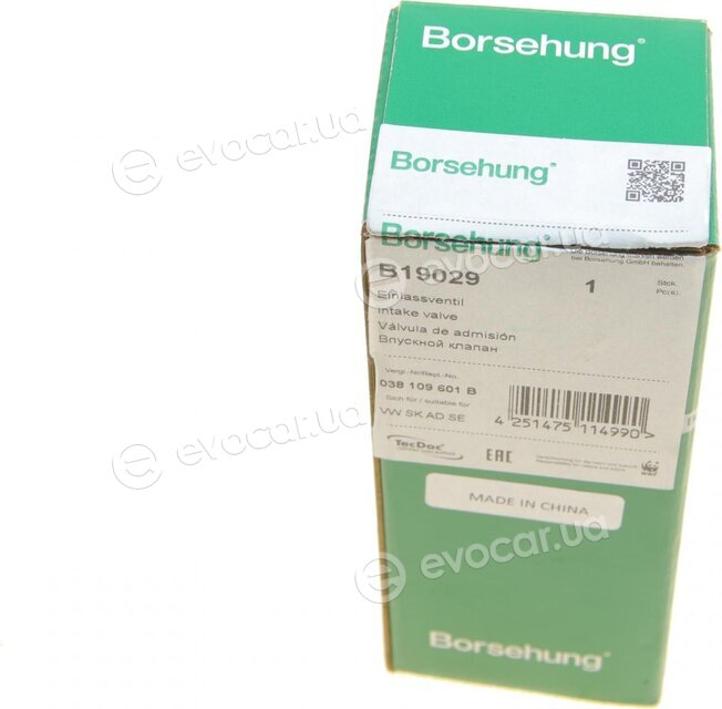 Borsehung B19029