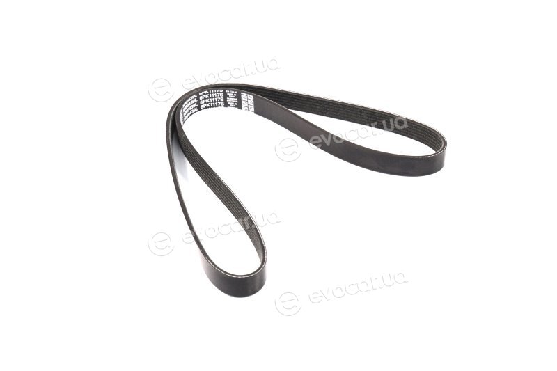 Dayco 6PK1117S