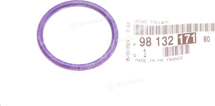 Mopar (PSA / FCA) 9813217180