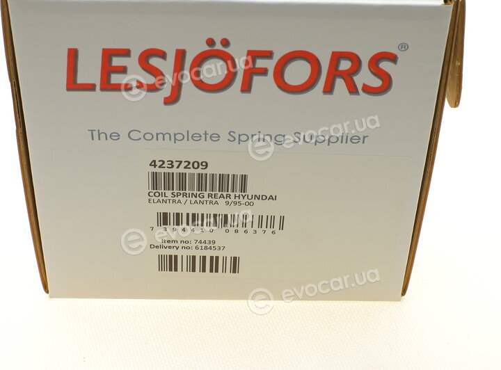 Lesjofors 4237209