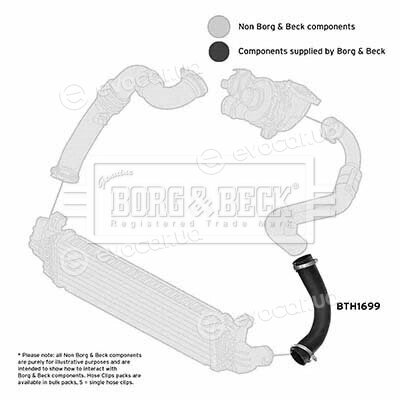 Borg & Beck BTH1699