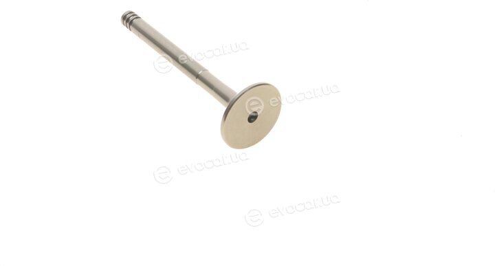 AMP PAUD006-A-0-N