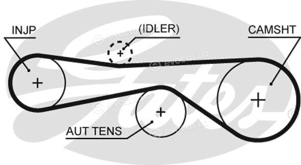 Gates K015614XS