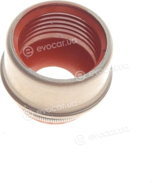 Elring 529.060