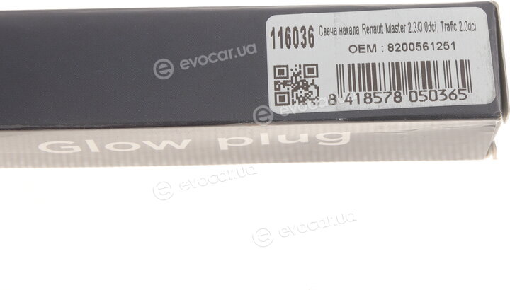 Solgy 116036