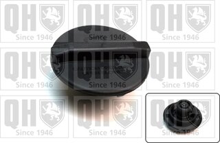 Quinton Hazell FC544