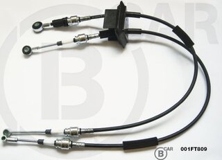 BCAR 001FT809