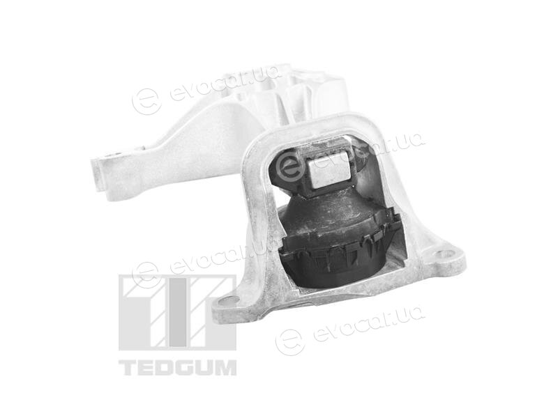Tedgum TED37615