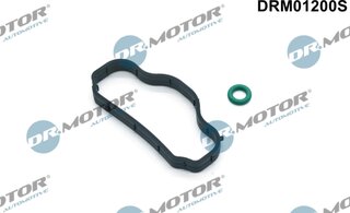 Dr. Motor DRM01200S