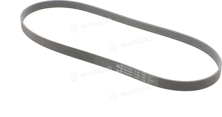 Continental 6PK1256