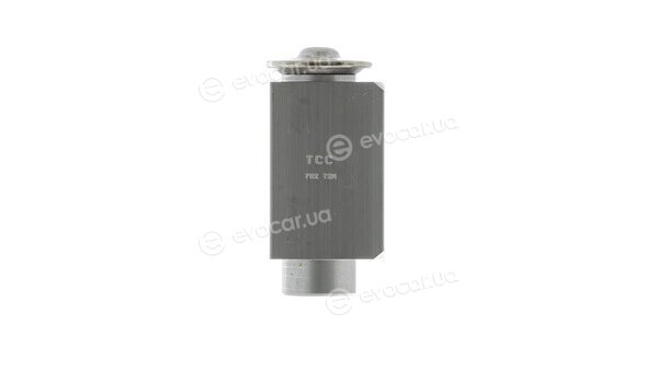 Mahle AVE 81 000P