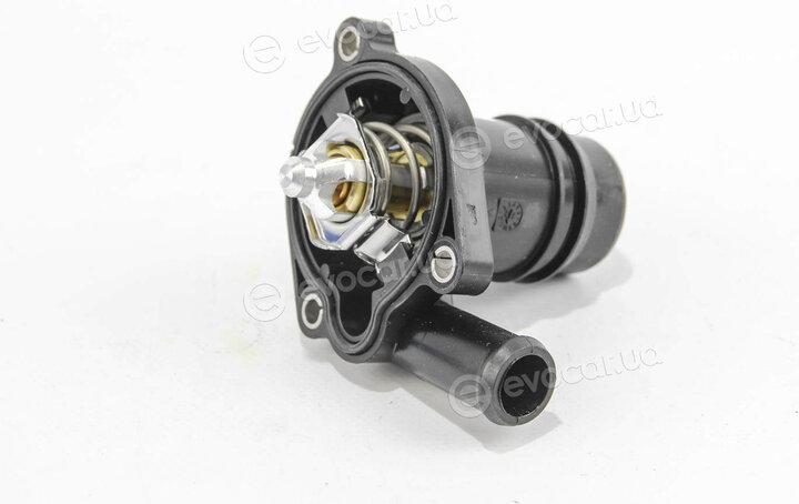 Mahle TM 36 103