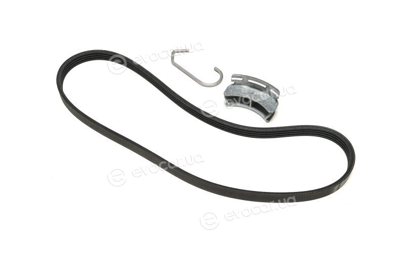 Continental 4PK922 ELAST T1