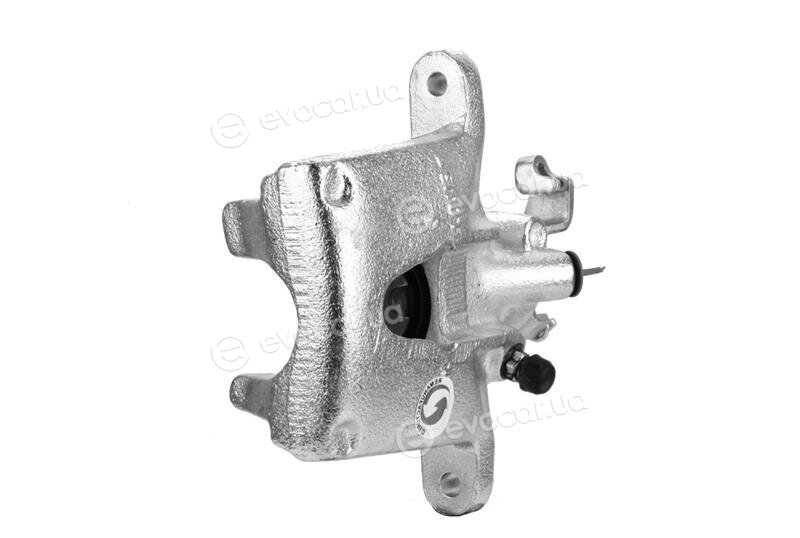 Starline PB BT23