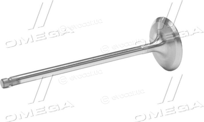Gunes 6440