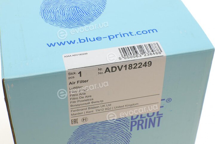 Blue Print ADV182249