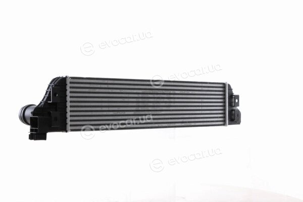 Mahle CI 386 000S
