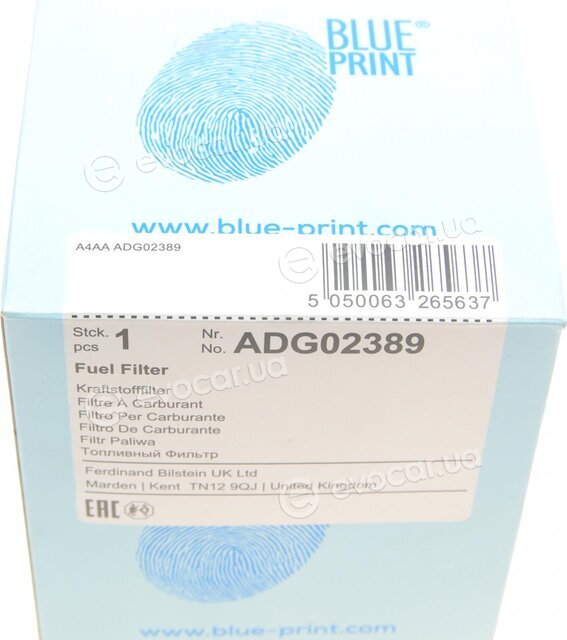 Blue Print ADG02389