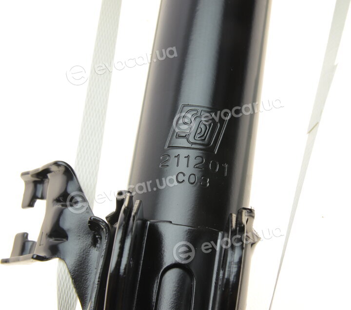 Solgy 211201