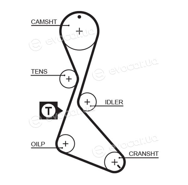 Gates K015130XS