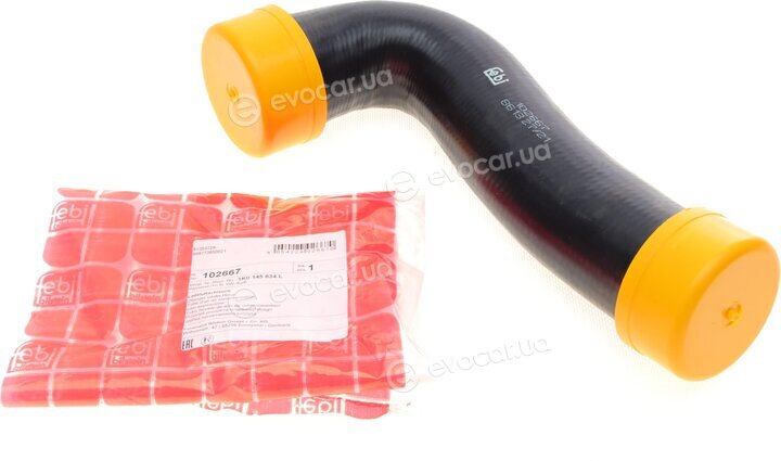 Febi 102667